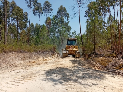 Arranjos das estradas, em área florestal