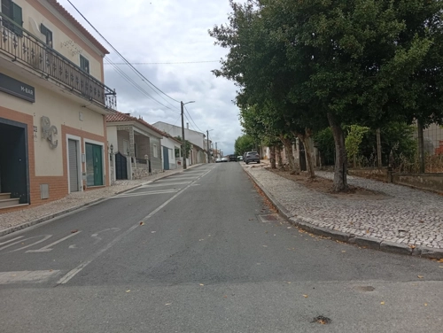 Limpeza de ervas em passeio da Rua Dr Eduardo Fonseca de Almeida