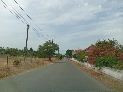 Limpeza de bermas e ervas de passeios da várias ruas