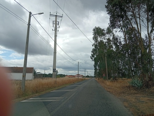 Limpeza de bermas na Briosa