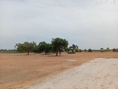 Continuação da limpeza da Lagoinha (antigo campo de tiro e antiga pista de motocross)