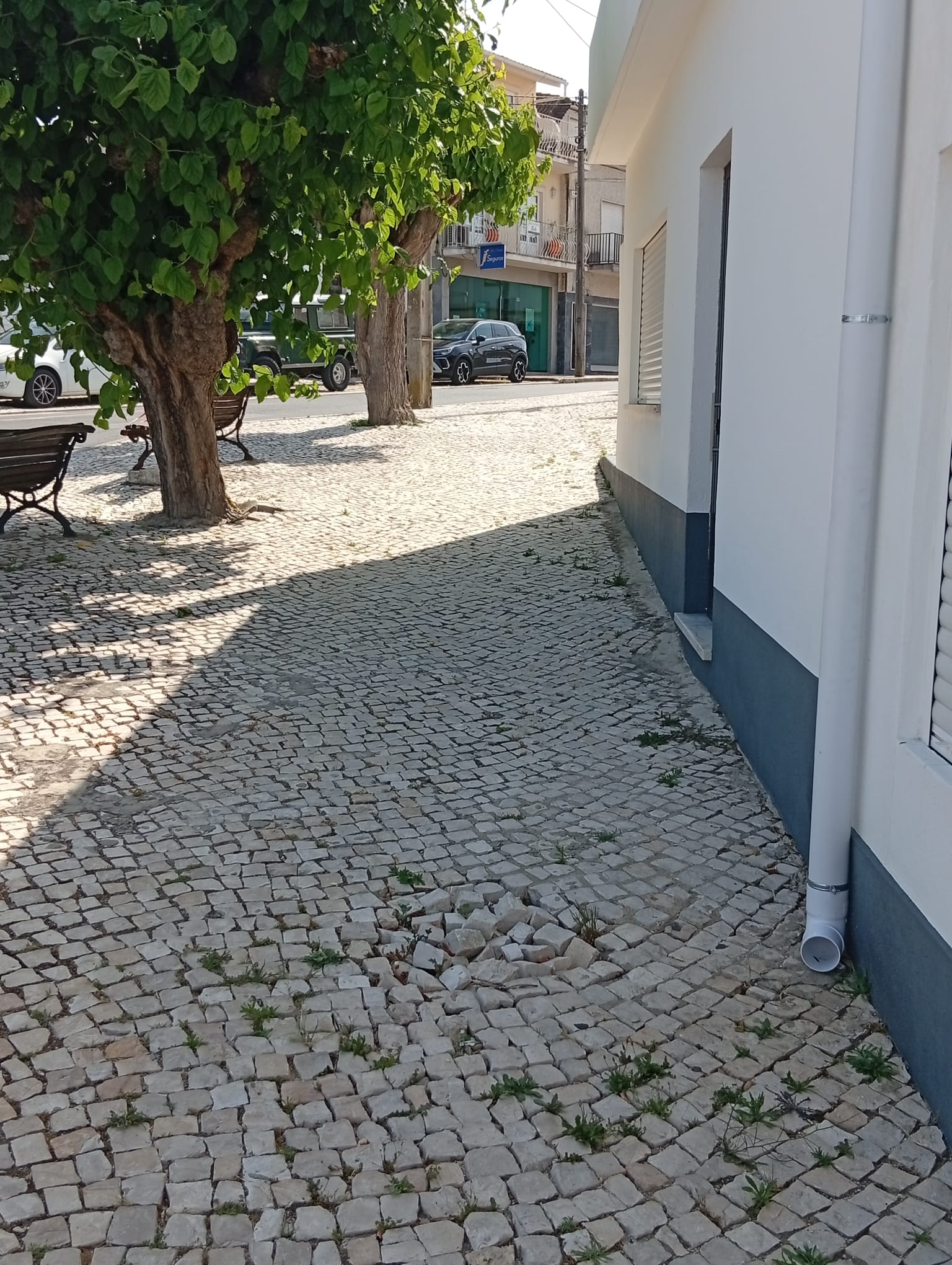 Limpeza de ruas da Freguesia 02