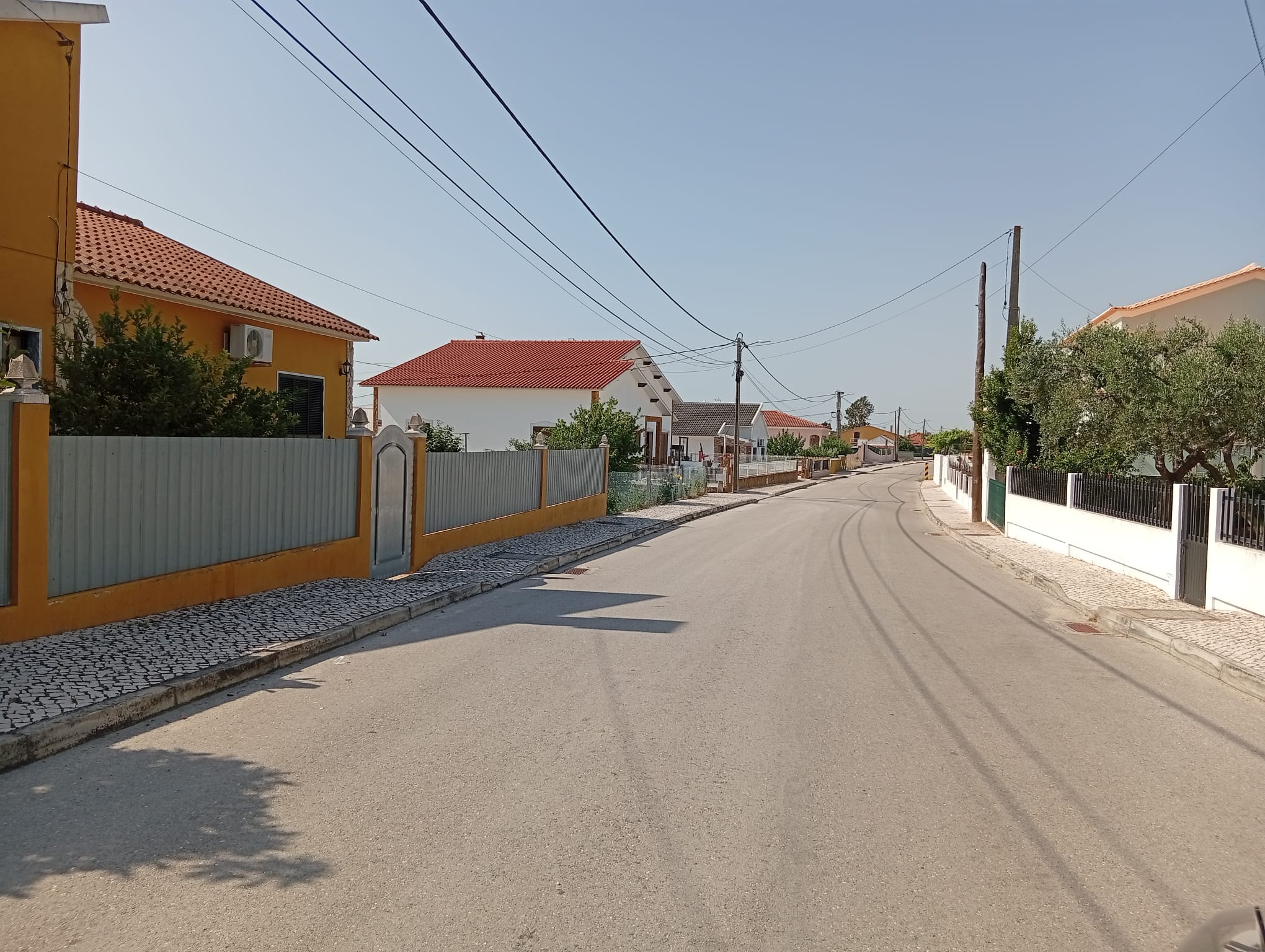 Limpeza de ruas da Freguesia 06