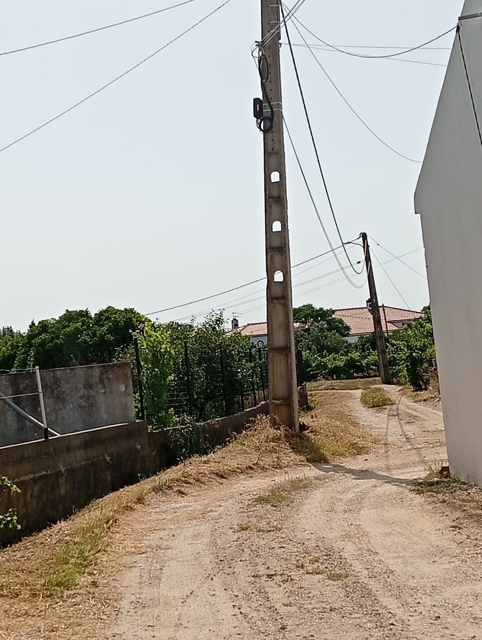 Limpeza de ruas da Freguesia 08