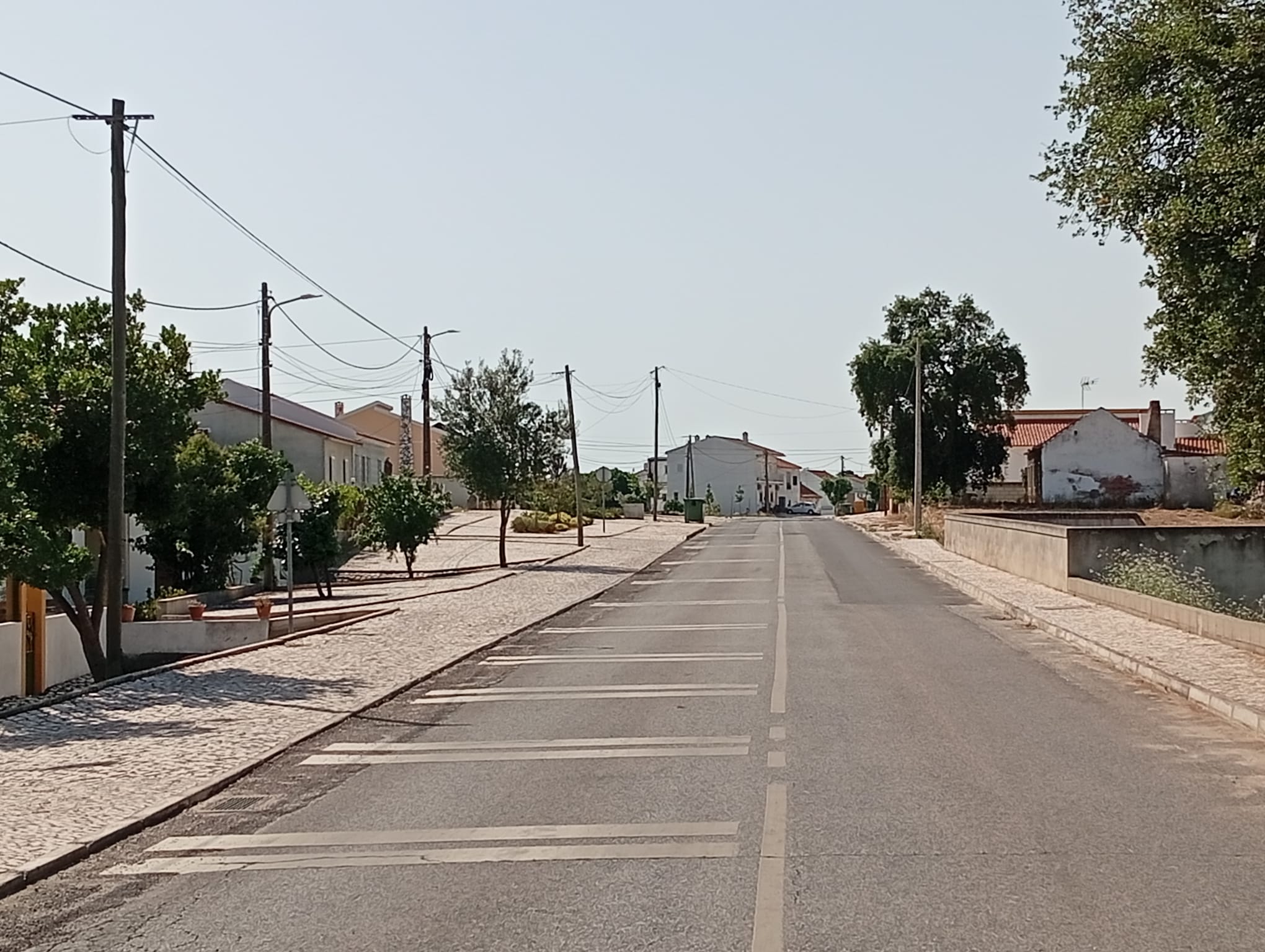 Limpeza de ruas da Freguesia 04